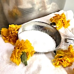 5 Things to Know Before You Start Natural Dyeing