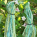 Early Seedlings yarn