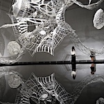 Choi + Shine crochet the 12 animals of the Chinese zodiac