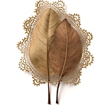 Meticulously stitched leaves by Susanna Bauer