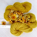 Hot versus cold alum mordant for wool before dyeing with dyers chamomile