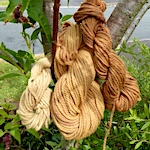 Dyeing wool with almond tree bark