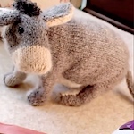 Happy World Donkey Day