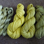 Goldenrod plant dye on wool and silk