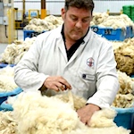 Wool producers flock to British Wool open day