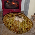Making a woven willow sheep fleece basket
