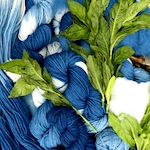 Japanese indigo plant dyeing and overdyeing