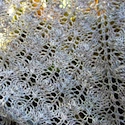 Jane Shawl Detail