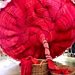 Giant placenta two-year knitting project