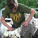 Shearing (Again)
