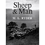 Sheep and Man M L Ryder
