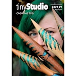 tinyStudio Issue 29