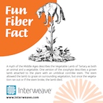 Fun fibre facts for everyone