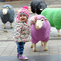Yorkshire Wool Week