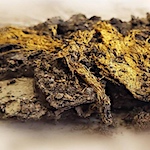 Rare 1,600-year-old purple fabric woven with gold threads found in France