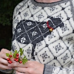 Fancy Fencework Sweater by Caitlin Shepherd