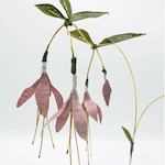 Textile flower sculptures by Lauren Pruen