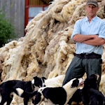 NFU backs 'much-needed' wool insulation campaign