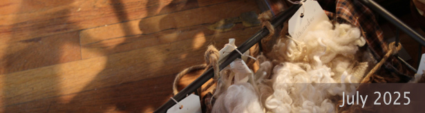 Banner image
