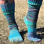 Rambouillet socks