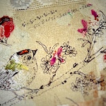 Suzette Smart: storyteller at heart