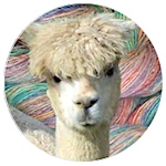 Logo for The Alpaca Spinner