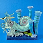 Anatomy and ancient sea creatures in Hiné Mizushima's felt sculptures