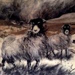 Andrea Hunter 'paints' with wool
