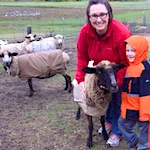 Titonka family raises rare breed of sheep