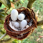 Bird's nest yarn