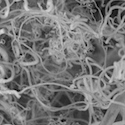 Carbon nanofibres made from CO2 in the air