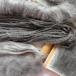 Cat and silk