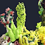 A vibrant coral ecosystem of thousands of crocheted sculptures