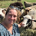 Farm to wheel: supporting local shepherds