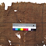Earliest-known true tartan identified