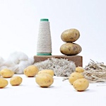 Potato yarn breakthrough