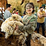 Fibershed Shearing Schools