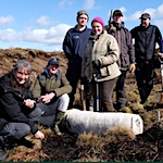 First wool logs laid on Dales peatland