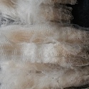 The careful art of fleece preparation