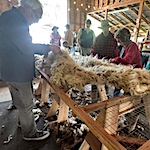 Agriculture Is Culture: Recap of Flock Together