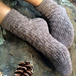 Forest Floor by Sara Bauer