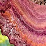 Fractal spun shawl