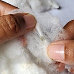 A practical guide to ginning cotton by hand