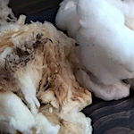 Introduction to Common Wool Scouring Agents