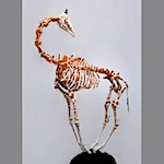 Life-sized knitted giraffe skeleton