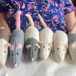 Knitted rats needed for exhibition