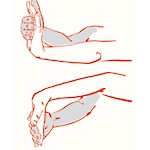Knitting comfortably: simple stretches
