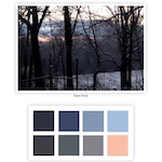 Nature's color palettes: an idea