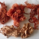 Dyes from a Fresh Madder Root Afterbath
