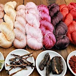 Plant dyeing kit